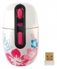 G-Cube G4A-10D White-Pink USB opiniones, G-Cube G4A-10D White-Pink USB precio, G-Cube G4A-10D White-Pink USB comprar, G-Cube G4A-10D White-Pink USB caracteristicas, G-Cube G4A-10D White-Pink USB especificaciones, G-Cube G4A-10D White-Pink USB Ficha tecnica, G-Cube G4A-10D White-Pink USB Teclado y mouse
