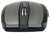 Arctic Cooling M361 Portable Wireless Mouse Black USB foto, Arctic Cooling M361 Portable Wireless Mouse Black USB fotos, Arctic Cooling M361 Portable Wireless Mouse Black USB imagen, Arctic Cooling M361 Portable Wireless Mouse Black USB imagenes, Arctic Cooling M361 Portable Wireless Mouse Black USB fotografía