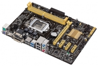 ASUS H81M-PLUS opiniones, ASUS H81M-PLUS precio, ASUS H81M-PLUS comprar, ASUS H81M-PLUS caracteristicas, ASUS H81M-PLUS especificaciones, ASUS H81M-PLUS Ficha tecnica, ASUS H81M-PLUS Placa base