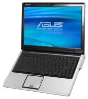 ASUS F81Se (Pentium Dual-Core T4200 2000 Mhz/14.0