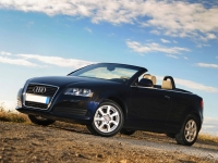 Audi A3 Cabriolet (8P/8PA) 1.2 TFSI MT (105 HP) foto, Audi A3 Cabriolet (8P/8PA) 1.2 TFSI MT (105 HP) fotos, Audi A3 Cabriolet (8P/8PA) 1.2 TFSI MT (105 HP) imagen, Audi A3 Cabriolet (8P/8PA) 1.2 TFSI MT (105 HP) imagenes, Audi A3 Cabriolet (8P/8PA) 1.2 TFSI MT (105 HP) fotografía