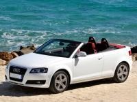 Audi A3 Cabriolet (8P/8PA) 1.4 TFSI MT (125hp) foto, Audi A3 Cabriolet (8P/8PA) 1.4 TFSI MT (125hp) fotos, Audi A3 Cabriolet (8P/8PA) 1.4 TFSI MT (125hp) imagen, Audi A3 Cabriolet (8P/8PA) 1.4 TFSI MT (125hp) imagenes, Audi A3 Cabriolet (8P/8PA) 1.4 TFSI MT (125hp) fotografía