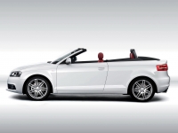 Audi A3 Cabriolet (8P/8PA) 1.4 TFSI MT (125hp) foto, Audi A3 Cabriolet (8P/8PA) 1.4 TFSI MT (125hp) fotos, Audi A3 Cabriolet (8P/8PA) 1.4 TFSI MT (125hp) imagen, Audi A3 Cabriolet (8P/8PA) 1.4 TFSI MT (125hp) imagenes, Audi A3 Cabriolet (8P/8PA) 1.4 TFSI MT (125hp) fotografía