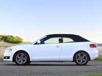 Audi A3 Cabriolet (8P/8PA) 1.9 TDI MT (105hp) foto, Audi A3 Cabriolet (8P/8PA) 1.9 TDI MT (105hp) fotos, Audi A3 Cabriolet (8P/8PA) 1.9 TDI MT (105hp) imagen, Audi A3 Cabriolet (8P/8PA) 1.9 TDI MT (105hp) imagenes, Audi A3 Cabriolet (8P/8PA) 1.9 TDI MT (105hp) fotografía