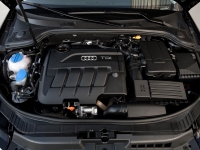 Audi A3 Hatchback 3-door (8P/8PA) 1.6 TDI S-tronic (105 HP) foto, Audi A3 Hatchback 3-door (8P/8PA) 1.6 TDI S-tronic (105 HP) fotos, Audi A3 Hatchback 3-door (8P/8PA) 1.6 TDI S-tronic (105 HP) imagen, Audi A3 Hatchback 3-door (8P/8PA) 1.6 TDI S-tronic (105 HP) imagenes, Audi A3 Hatchback 3-door (8P/8PA) 1.6 TDI S-tronic (105 HP) fotografía