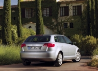 Audi A3 Sportback hatchback 5-door. (8P/8PA) 1.4 TFSI MT (125 HP, '08) foto, Audi A3 Sportback hatchback 5-door. (8P/8PA) 1.4 TFSI MT (125 HP, '08) fotos, Audi A3 Sportback hatchback 5-door. (8P/8PA) 1.4 TFSI MT (125 HP, '08) imagen, Audi A3 Sportback hatchback 5-door. (8P/8PA) 1.4 TFSI MT (125 HP, '08) imagenes, Audi A3 Sportback hatchback 5-door. (8P/8PA) 1.4 TFSI MT (125 HP, '08) fotografía