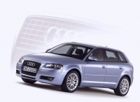 Audi A3 Sportback hatchback 5-door. (8P/8PA) 1.4 TFSI S-tronic (125 HP, '08) foto, Audi A3 Sportback hatchback 5-door. (8P/8PA) 1.4 TFSI S-tronic (125 HP, '08) fotos, Audi A3 Sportback hatchback 5-door. (8P/8PA) 1.4 TFSI S-tronic (125 HP, '08) imagen, Audi A3 Sportback hatchback 5-door. (8P/8PA) 1.4 TFSI S-tronic (125 HP, '08) imagenes, Audi A3 Sportback hatchback 5-door. (8P/8PA) 1.4 TFSI S-tronic (125 HP, '08) fotografía