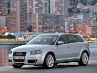 Audi A3 Sportback hatchback 5-door. (8P/8PA) 1.4 TFSI S-tronic (125 HP, '08) foto, Audi A3 Sportback hatchback 5-door. (8P/8PA) 1.4 TFSI S-tronic (125 HP, '08) fotos, Audi A3 Sportback hatchback 5-door. (8P/8PA) 1.4 TFSI S-tronic (125 HP, '08) imagen, Audi A3 Sportback hatchback 5-door. (8P/8PA) 1.4 TFSI S-tronic (125 HP, '08) imagenes, Audi A3 Sportback hatchback 5-door. (8P/8PA) 1.4 TFSI S-tronic (125 HP, '08) fotografía