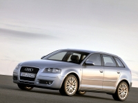 Audi A3 Sportback hatchback 5-door. (8P/8PA) 1.4 TFSI S-tronic (125 HP, '08) foto, Audi A3 Sportback hatchback 5-door. (8P/8PA) 1.4 TFSI S-tronic (125 HP, '08) fotos, Audi A3 Sportback hatchback 5-door. (8P/8PA) 1.4 TFSI S-tronic (125 HP, '08) imagen, Audi A3 Sportback hatchback 5-door. (8P/8PA) 1.4 TFSI S-tronic (125 HP, '08) imagenes, Audi A3 Sportback hatchback 5-door. (8P/8PA) 1.4 TFSI S-tronic (125 HP, '08) fotografía