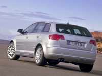 Audi A3 Sportback hatchback 5-door. (8P/8PA) 1.4 TFSI S-tronic (125 HP, '08) foto, Audi A3 Sportback hatchback 5-door. (8P/8PA) 1.4 TFSI S-tronic (125 HP, '08) fotos, Audi A3 Sportback hatchback 5-door. (8P/8PA) 1.4 TFSI S-tronic (125 HP, '08) imagen, Audi A3 Sportback hatchback 5-door. (8P/8PA) 1.4 TFSI S-tronic (125 HP, '08) imagenes, Audi A3 Sportback hatchback 5-door. (8P/8PA) 1.4 TFSI S-tronic (125 HP, '08) fotografía