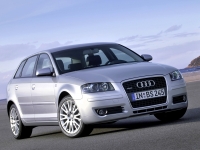 Audi A3 Sportback hatchback 5-door. (8P/8PA) 1.4 TFSI S-tronic (125 HP, '08) foto, Audi A3 Sportback hatchback 5-door. (8P/8PA) 1.4 TFSI S-tronic (125 HP, '08) fotos, Audi A3 Sportback hatchback 5-door. (8P/8PA) 1.4 TFSI S-tronic (125 HP, '08) imagen, Audi A3 Sportback hatchback 5-door. (8P/8PA) 1.4 TFSI S-tronic (125 HP, '08) imagenes, Audi A3 Sportback hatchback 5-door. (8P/8PA) 1.4 TFSI S-tronic (125 HP, '08) fotografía