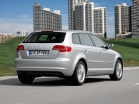 Audi A3 Sportback hatchback 5-door. (8P/8PA) 1.6 MT (102 HP) foto, Audi A3 Sportback hatchback 5-door. (8P/8PA) 1.6 MT (102 HP) fotos, Audi A3 Sportback hatchback 5-door. (8P/8PA) 1.6 MT (102 HP) imagen, Audi A3 Sportback hatchback 5-door. (8P/8PA) 1.6 MT (102 HP) imagenes, Audi A3 Sportback hatchback 5-door. (8P/8PA) 1.6 MT (102 HP) fotografía