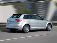 Audi A3 Sportback hatchback 5-door. (8P/8PA) 1.6 MT (102 HP) foto, Audi A3 Sportback hatchback 5-door. (8P/8PA) 1.6 MT (102 HP) fotos, Audi A3 Sportback hatchback 5-door. (8P/8PA) 1.6 MT (102 HP) imagen, Audi A3 Sportback hatchback 5-door. (8P/8PA) 1.6 MT (102 HP) imagenes, Audi A3 Sportback hatchback 5-door. (8P/8PA) 1.6 MT (102 HP) fotografía