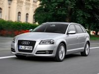 Audi A3 Sportback hatchback 5-door. (8P/8PA) 1.6 MT (102 HP) foto, Audi A3 Sportback hatchback 5-door. (8P/8PA) 1.6 MT (102 HP) fotos, Audi A3 Sportback hatchback 5-door. (8P/8PA) 1.6 MT (102 HP) imagen, Audi A3 Sportback hatchback 5-door. (8P/8PA) 1.6 MT (102 HP) imagenes, Audi A3 Sportback hatchback 5-door. (8P/8PA) 1.6 MT (102 HP) fotografía