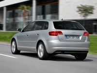 Audi A3 Sportback hatchback 5-door. (8P/8PA) 1.6 MT (102 HP) foto, Audi A3 Sportback hatchback 5-door. (8P/8PA) 1.6 MT (102 HP) fotos, Audi A3 Sportback hatchback 5-door. (8P/8PA) 1.6 MT (102 HP) imagen, Audi A3 Sportback hatchback 5-door. (8P/8PA) 1.6 MT (102 HP) imagenes, Audi A3 Sportback hatchback 5-door. (8P/8PA) 1.6 MT (102 HP) fotografía