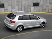 Audi A3 Sportback hatchback 5-door. (8P/8PA) 1.6 MT (102 HP) foto, Audi A3 Sportback hatchback 5-door. (8P/8PA) 1.6 MT (102 HP) fotos, Audi A3 Sportback hatchback 5-door. (8P/8PA) 1.6 MT (102 HP) imagen, Audi A3 Sportback hatchback 5-door. (8P/8PA) 1.6 MT (102 HP) imagenes, Audi A3 Sportback hatchback 5-door. (8P/8PA) 1.6 MT (102 HP) fotografía