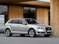 Audi A3 Sportback hatchback 5-door. (8P/8PA) 1.6 MT (102 HP) foto, Audi A3 Sportback hatchback 5-door. (8P/8PA) 1.6 MT (102 HP) fotos, Audi A3 Sportback hatchback 5-door. (8P/8PA) 1.6 MT (102 HP) imagen, Audi A3 Sportback hatchback 5-door. (8P/8PA) 1.6 MT (102 HP) imagenes, Audi A3 Sportback hatchback 5-door. (8P/8PA) 1.6 MT (102 HP) fotografía