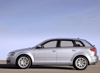 Audi A3 Sportback hatchback 5-door. (8P/8PA) 1.6 MT (102 HP '06) foto, Audi A3 Sportback hatchback 5-door. (8P/8PA) 1.6 MT (102 HP '06) fotos, Audi A3 Sportback hatchback 5-door. (8P/8PA) 1.6 MT (102 HP '06) imagen, Audi A3 Sportback hatchback 5-door. (8P/8PA) 1.6 MT (102 HP '06) imagenes, Audi A3 Sportback hatchback 5-door. (8P/8PA) 1.6 MT (102 HP '06) fotografía