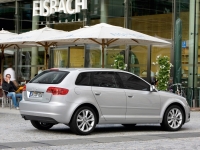 Audi A3 Sportback hatchback 5-door. (8P/8PA) 1.6 TDI 102g MT (105hp) foto, Audi A3 Sportback hatchback 5-door. (8P/8PA) 1.6 TDI 102g MT (105hp) fotos, Audi A3 Sportback hatchback 5-door. (8P/8PA) 1.6 TDI 102g MT (105hp) imagen, Audi A3 Sportback hatchback 5-door. (8P/8PA) 1.6 TDI 102g MT (105hp) imagenes, Audi A3 Sportback hatchback 5-door. (8P/8PA) 1.6 TDI 102g MT (105hp) fotografía