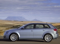 Audi A3 Sportback hatchback 5-door. (8P/8PA) 1.6 Tiptronic foto, Audi A3 Sportback hatchback 5-door. (8P/8PA) 1.6 Tiptronic fotos, Audi A3 Sportback hatchback 5-door. (8P/8PA) 1.6 Tiptronic imagen, Audi A3 Sportback hatchback 5-door. (8P/8PA) 1.6 Tiptronic imagenes, Audi A3 Sportback hatchback 5-door. (8P/8PA) 1.6 Tiptronic fotografía