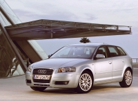 Audi A3 Sportback hatchback 5-door. (8P/8PA) 1.9 TDI MT foto, Audi A3 Sportback hatchback 5-door. (8P/8PA) 1.9 TDI MT fotos, Audi A3 Sportback hatchback 5-door. (8P/8PA) 1.9 TDI MT imagen, Audi A3 Sportback hatchback 5-door. (8P/8PA) 1.9 TDI MT imagenes, Audi A3 Sportback hatchback 5-door. (8P/8PA) 1.9 TDI MT fotografía