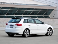 Audi A3 Sportback hatchback 5-door. (8P/8PA) 1.9 TDIe (Dpf MT (105 HP '07) foto, Audi A3 Sportback hatchback 5-door. (8P/8PA) 1.9 TDIe (Dpf MT (105 HP '07) fotos, Audi A3 Sportback hatchback 5-door. (8P/8PA) 1.9 TDIe (Dpf MT (105 HP '07) imagen, Audi A3 Sportback hatchback 5-door. (8P/8PA) 1.9 TDIe (Dpf MT (105 HP '07) imagenes, Audi A3 Sportback hatchback 5-door. (8P/8PA) 1.9 TDIe (Dpf MT (105 HP '07) fotografía