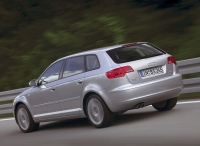 Audi A3 Sportback hatchback 5-door. (8P/8PA) 1.9 TDIe (Dpf MT (105 HP '07) foto, Audi A3 Sportback hatchback 5-door. (8P/8PA) 1.9 TDIe (Dpf MT (105 HP '07) fotos, Audi A3 Sportback hatchback 5-door. (8P/8PA) 1.9 TDIe (Dpf MT (105 HP '07) imagen, Audi A3 Sportback hatchback 5-door. (8P/8PA) 1.9 TDIe (Dpf MT (105 HP '07) imagenes, Audi A3 Sportback hatchback 5-door. (8P/8PA) 1.9 TDIe (Dpf MT (105 HP '07) fotografía