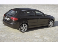 Audi A3 Sportback hatchback 5-door. (8P/8PA) 2.0 TDI Dpf MT (170 HP '06) foto, Audi A3 Sportback hatchback 5-door. (8P/8PA) 2.0 TDI Dpf MT (170 HP '06) fotos, Audi A3 Sportback hatchback 5-door. (8P/8PA) 2.0 TDI Dpf MT (170 HP '06) imagen, Audi A3 Sportback hatchback 5-door. (8P/8PA) 2.0 TDI Dpf MT (170 HP '06) imagenes, Audi A3 Sportback hatchback 5-door. (8P/8PA) 2.0 TDI Dpf MT (170 HP '06) fotografía