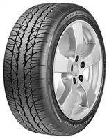 BFGoodrich G-Force Super Sport A/S 215/55 R16 97S opiniones, BFGoodrich G-Force Super Sport A/S 215/55 R16 97S precio, BFGoodrich G-Force Super Sport A/S 215/55 R16 97S comprar, BFGoodrich G-Force Super Sport A/S 215/55 R16 97S caracteristicas, BFGoodrich G-Force Super Sport A/S 215/55 R16 97S especificaciones, BFGoodrich G-Force Super Sport A/S 215/55 R16 97S Ficha tecnica, BFGoodrich G-Force Super Sport A/S 215/55 R16 97S Neumatico