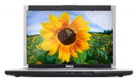 DELL XPS M1530 (Core 2 Duo T9500 2600 Mhz/15.1