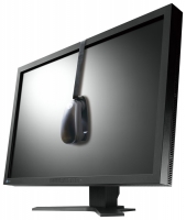 Eizo ColorEdge CG301WK foto, Eizo ColorEdge CG301WK fotos, Eizo ColorEdge CG301WK imagen, Eizo ColorEdge CG301WK imagenes, Eizo ColorEdge CG301WK fotografía