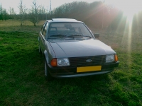 Ford Escort Hatchback 3-door (3 generation) 1.6 5MT (79hp '83) foto, Ford Escort Hatchback 3-door (3 generation) 1.6 5MT (79hp '83) fotos, Ford Escort Hatchback 3-door (3 generation) 1.6 5MT (79hp '83) imagen, Ford Escort Hatchback 3-door (3 generation) 1.6 5MT (79hp '83) imagenes, Ford Escort Hatchback 3-door (3 generation) 1.6 5MT (79hp '83) fotografía