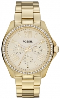 Fossil AM4482 opiniones, Fossil AM4482 precio, Fossil AM4482 comprar, Fossil AM4482 caracteristicas, Fossil AM4482 especificaciones, Fossil AM4482 Ficha tecnica, Fossil AM4482 Reloj de pulsera