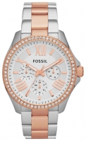 Fossil AM4496 opiniones, Fossil AM4496 precio, Fossil AM4496 comprar, Fossil AM4496 caracteristicas, Fossil AM4496 especificaciones, Fossil AM4496 Ficha tecnica, Fossil AM4496 Reloj de pulsera