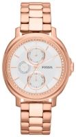 Fossil ES3353 opiniones, Fossil ES3353 precio, Fossil ES3353 comprar, Fossil ES3353 caracteristicas, Fossil ES3353 especificaciones, Fossil ES3353 Ficha tecnica, Fossil ES3353 Reloj de pulsera