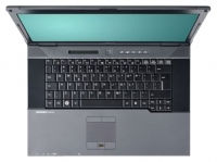 Fujitsu ESPRIMO Mobile D9510 (Core 2 Duo P8600 2400 Mhz/15.4