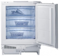 Gorenje FIU 6108 W opiniones, Gorenje FIU 6108 W precio, Gorenje FIU 6108 W comprar, Gorenje FIU 6108 W caracteristicas, Gorenje FIU 6108 W especificaciones, Gorenje FIU 6108 W Ficha tecnica, Gorenje FIU 6108 W Refrigerador