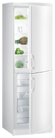 Gorenje RK 6355 W/1 foto, Gorenje RK 6355 W/1 fotos, Gorenje RK 6355 W/1 imagen, Gorenje RK 6355 W/1 imagenes, Gorenje RK 6355 W/1 fotografía