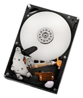 HGST Deskstar 7K2000 opiniones, HGST Deskstar 7K2000 precio, HGST Deskstar 7K2000 comprar, HGST Deskstar 7K2000 caracteristicas, HGST Deskstar 7K2000 especificaciones, HGST Deskstar 7K2000 Ficha tecnica, HGST Deskstar 7K2000 Disco duro