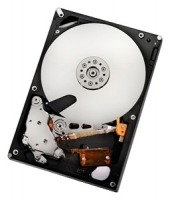 HGST HUA722020ALA331 opiniones, HGST HUA722020ALA331 precio, HGST HUA722020ALA331 comprar, HGST HUA722020ALA331 caracteristicas, HGST HUA722020ALA331 especificaciones, HGST HUA722020ALA331 Ficha tecnica, HGST HUA722020ALA331 Disco duro