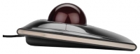 Kensington SlimBlade Trackball K72327EU Negro USB foto, Kensington SlimBlade Trackball K72327EU Negro USB fotos, Kensington SlimBlade Trackball K72327EU Negro USB imagen, Kensington SlimBlade Trackball K72327EU Negro USB imagenes, Kensington SlimBlade Trackball K72327EU Negro USB fotografía