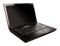 Lenovo IdeaPad Y430 (Core 2 Duo P7350 2000 Mhz/14.1