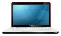 Lenovo IdeaPad Y550 (Core 2 Duo P7450 2130 Mhz/15.6