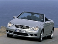 Mercedes-Benz CLK-Class AMG cabriolet 2-door (C209/A209) CLK 55 AMG AT (367 hp) foto, Mercedes-Benz CLK-Class AMG cabriolet 2-door (C209/A209) CLK 55 AMG AT (367 hp) fotos, Mercedes-Benz CLK-Class AMG cabriolet 2-door (C209/A209) CLK 55 AMG AT (367 hp) imagen, Mercedes-Benz CLK-Class AMG cabriolet 2-door (C209/A209) CLK 55 AMG AT (367 hp) imagenes, Mercedes-Benz CLK-Class AMG cabriolet 2-door (C209/A209) CLK 55 AMG AT (367 hp) fotografía