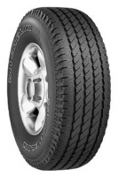 Michelin Cross Terrain SUV 265/70 R16 111S opiniones, Michelin Cross Terrain SUV 265/70 R16 111S precio, Michelin Cross Terrain SUV 265/70 R16 111S comprar, Michelin Cross Terrain SUV 265/70 R16 111S caracteristicas, Michelin Cross Terrain SUV 265/70 R16 111S especificaciones, Michelin Cross Terrain SUV 265/70 R16 111S Ficha tecnica, Michelin Cross Terrain SUV 265/70 R16 111S Neumatico