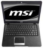 MSI X-Slim X370 (E-350 1600 Mhz/13.4