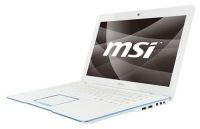 MSI X-Slim X410 (Athlon Neo MV-40 1600 Mhz/14.0