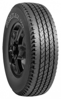 Nexen Roadian H/T (SUV) 255/70 R18 112S opiniones, Nexen Roadian H/T (SUV) 255/70 R18 112S precio, Nexen Roadian H/T (SUV) 255/70 R18 112S comprar, Nexen Roadian H/T (SUV) 255/70 R18 112S caracteristicas, Nexen Roadian H/T (SUV) 255/70 R18 112S especificaciones, Nexen Roadian H/T (SUV) 255/70 R18 112S Ficha tecnica, Nexen Roadian H/T (SUV) 255/70 R18 112S Neumatico