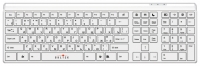 Oklick 560 S Multimedia Keyboard Blanco USB opiniones, Oklick 560 S Multimedia Keyboard Blanco USB precio, Oklick 560 S Multimedia Keyboard Blanco USB comprar, Oklick 560 S Multimedia Keyboard Blanco USB caracteristicas, Oklick 560 S Multimedia Keyboard Blanco USB especificaciones, Oklick 560 S Multimedia Keyboard Blanco USB Ficha tecnica, Oklick 560 S Multimedia Keyboard Blanco USB Teclado y mouse