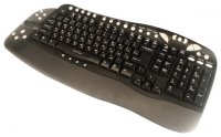 Oklick 780L Multimedia Keyboard PS Negro/2 foto, Oklick 780L Multimedia Keyboard PS Negro/2 fotos, Oklick 780L Multimedia Keyboard PS Negro/2 imagen, Oklick 780L Multimedia Keyboard PS Negro/2 imagenes, Oklick 780L Multimedia Keyboard PS Negro/2 fotografía